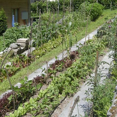 Eco-Hotel Cristallina Coglio ภายนอก รูปภาพ