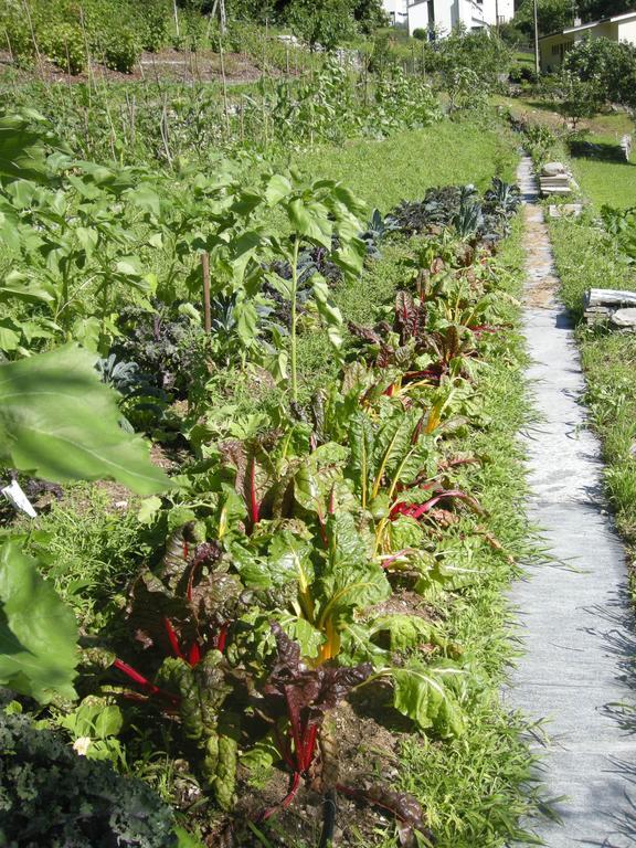 Eco-Hotel Cristallina Coglio ภายนอก รูปภาพ